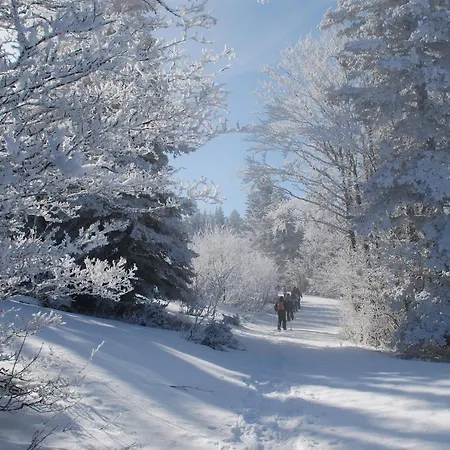La Taiga 2* Villard-de-Lans